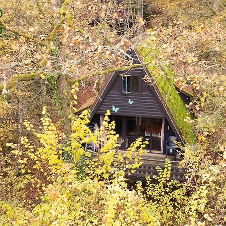 Durbuy Bungalow 194, calme et nature Exterior foto